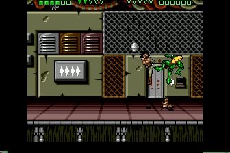 忍者蛙与双截龙MD游戏截图第23张