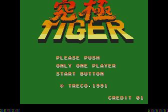 究极虎MD游戏截图第17张