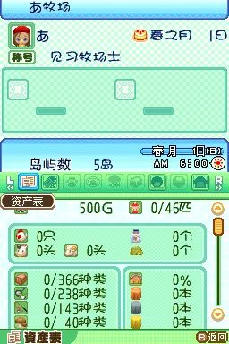 牧场物语：闪耀太阳和伙伴 中文汉化NDS游戏截图第5张