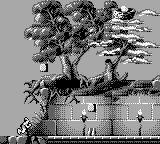 龙穴GB游戏截图第8张