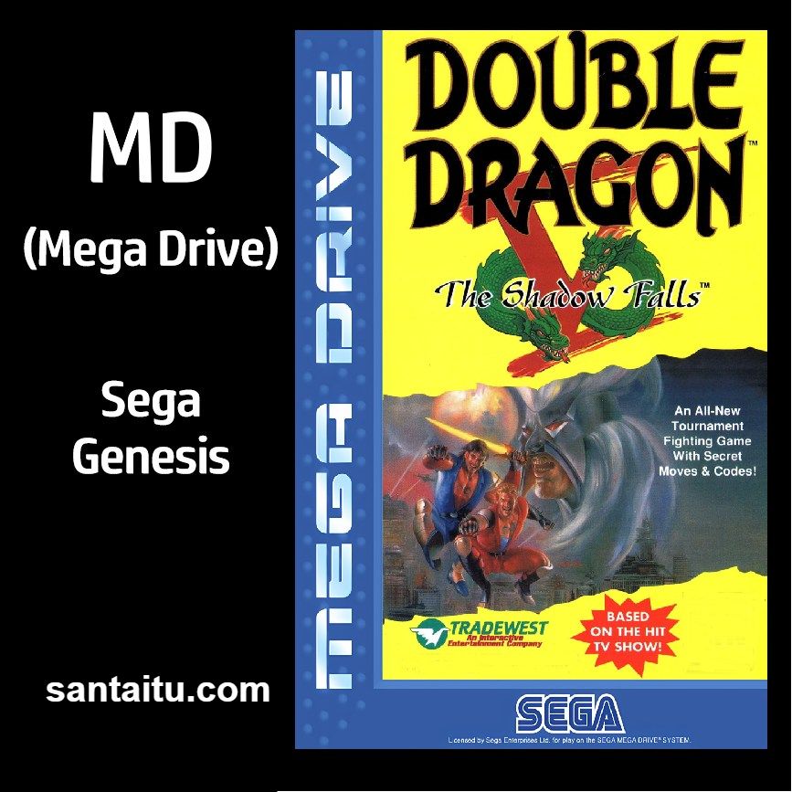 双截龙5：失落之影