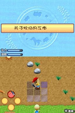 牧场物语：闪耀太阳和伙伴 中文汉化NDS游戏截图第8张