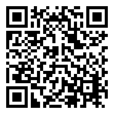 荒野枪手／西部枪手