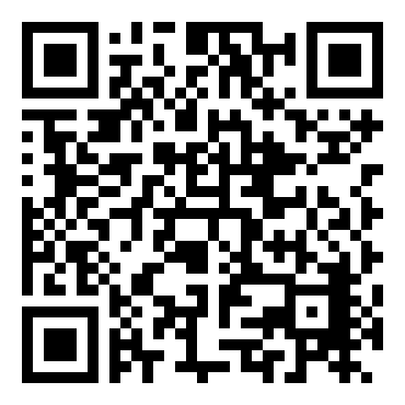 维德汉克斯的反击