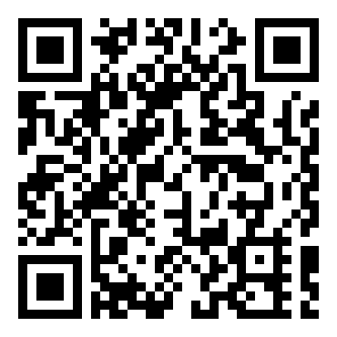 洛克人：网络战斗EXE6（电脑兽凤凰）