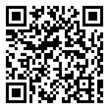 闪灵二人组：首都夺还作战