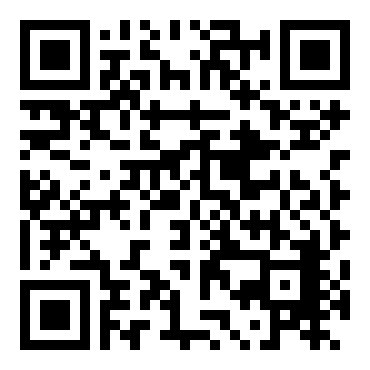 洛克人：网络战斗EXE5