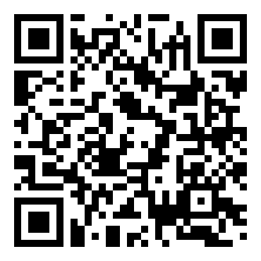 高级汽车拉力赛1