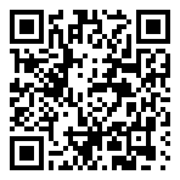 高级汽车拉力赛2