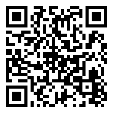 世嘉拉力锦标赛车