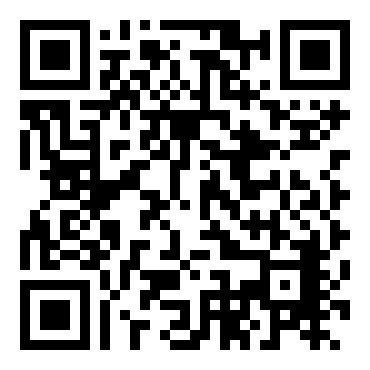 间谍小子挑战者