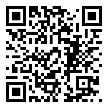 哈林世界巡回篮球