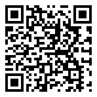 NFL橄榄球闪电大作战2002