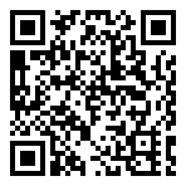 夏恩·派蒙的职业滑雪板