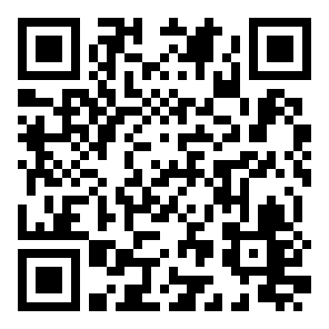 精武斗魂：陈真传