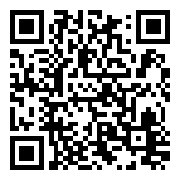 零式特攻队／飞天蝙蝠ZERO