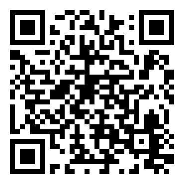 米格29：战斗机飞行员