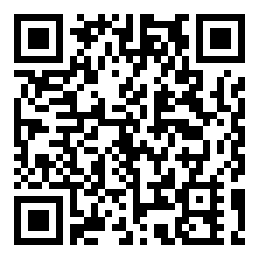 甲壳虫冒险赛车