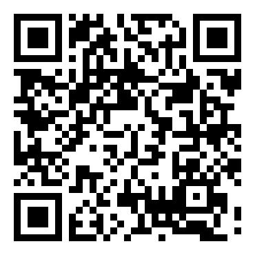 侠盗猎车：血战唐人街