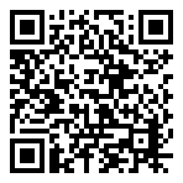 钢之炼金术师：双重共鸣