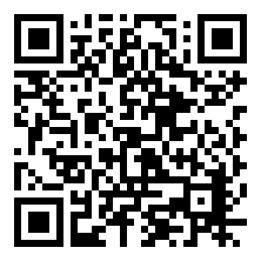 索尼克冲刺：大冒险(Sonic Rush Adventure) 