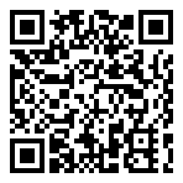 天诛4：影子刺客