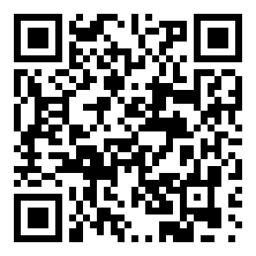 91号医师：携带版