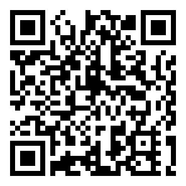 恶代官漫游记：正义之刃