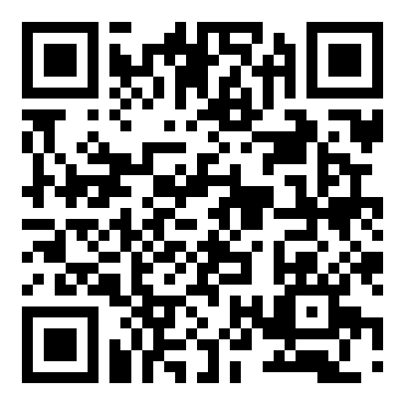 德军总部3D：铁拳行动