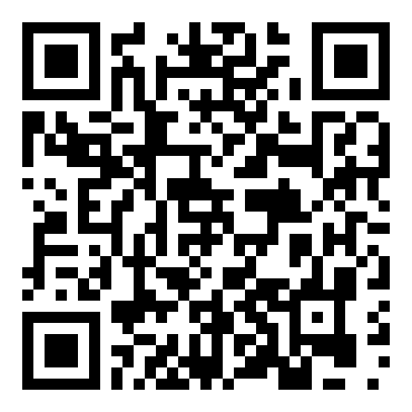 雷恩与史地皮：疯狂家庭