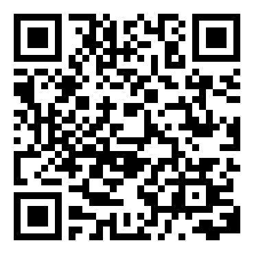 洛克人与佛鲁迪