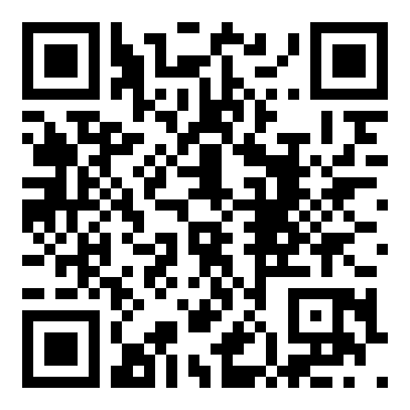 乱马1／2：朱猫团的秘宝