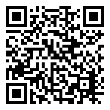 沉默战机／模糊射击